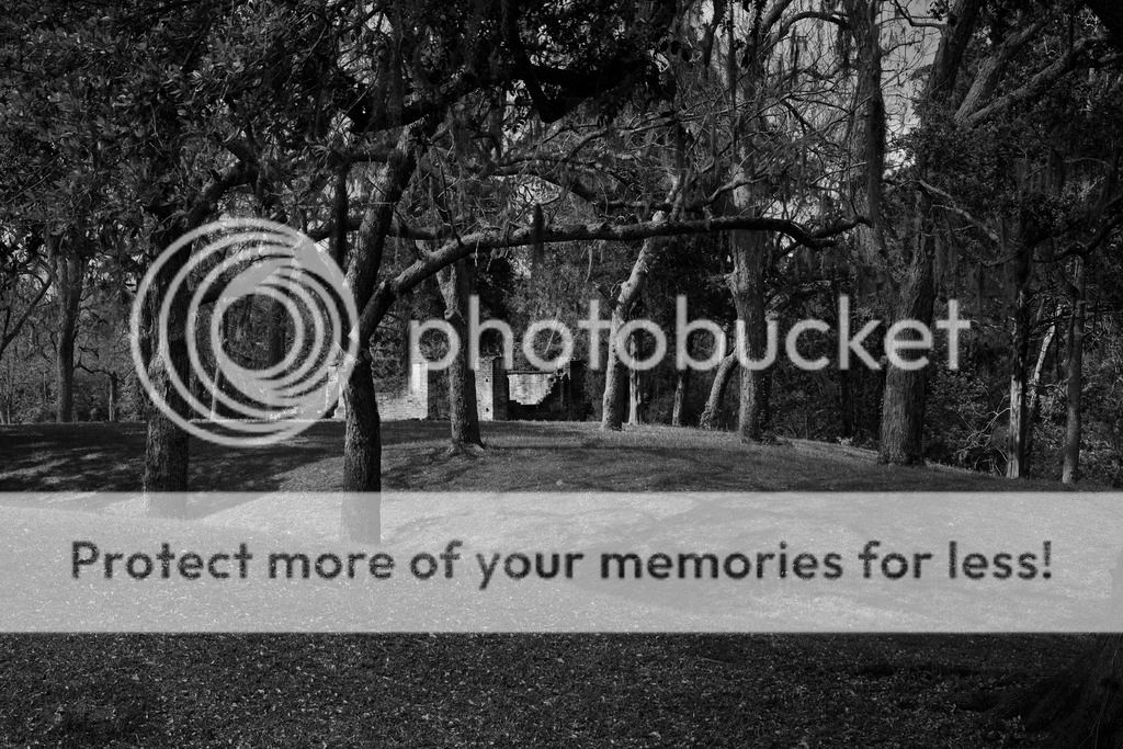 Whistling Past the Graveyard